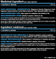 PVL Gold Series Carnitine Gold +