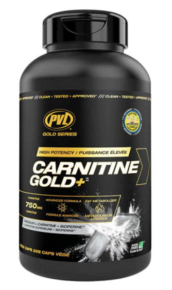 PVL Gold Series Carnitine Gold +