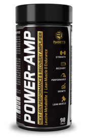 Raisey's POWER-AMP Performance & Recovery Amplifier