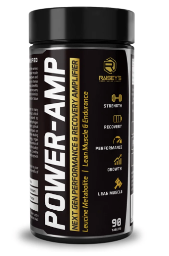 Raisey's POWER-AMP Performance & Recovery Amplifier
